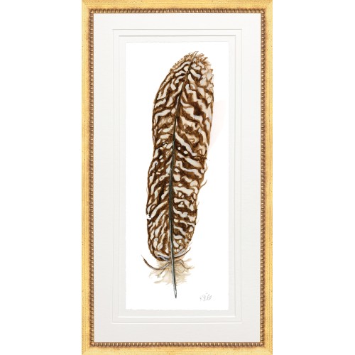 KS- PHEASANT FEATHER 6